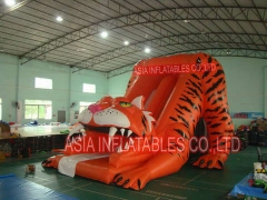 Diaphragme Tiger Tiger