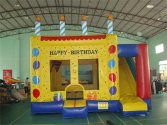 Birthday Party Jumping Castle