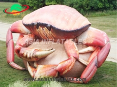 Best-selling Custom Inflatable Crab For Decoration