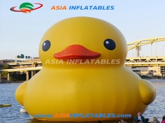 Custom Cute Inflatable Duck Cartoon For Pool Floating and Balloons Show